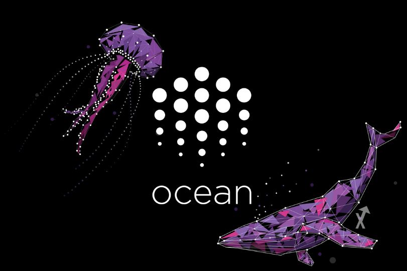 ocean protocol