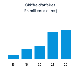 chiffre d'affaire meta