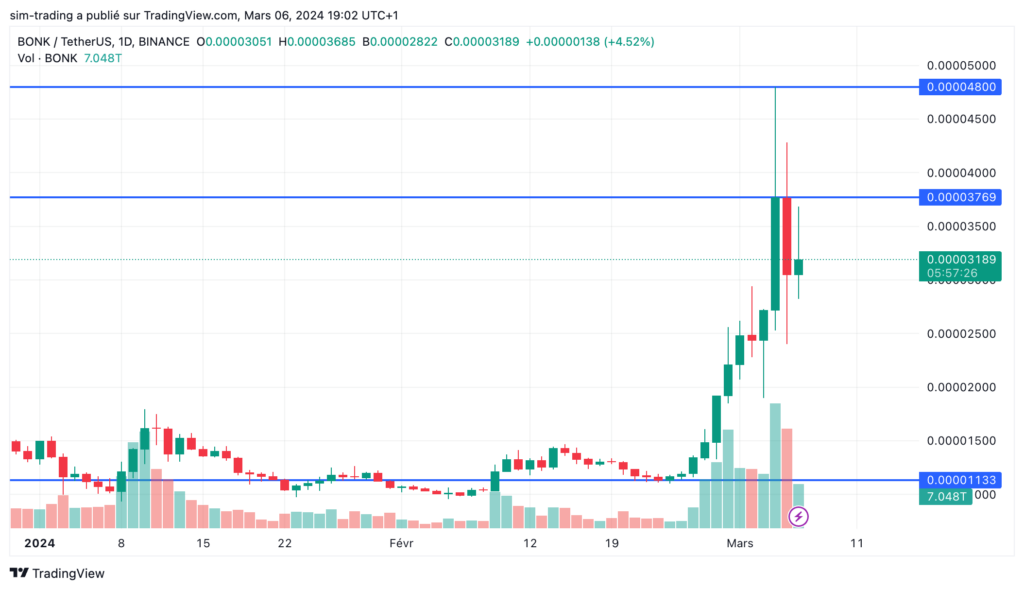 Graphique de l'évolution du BONK depuis début 2024.