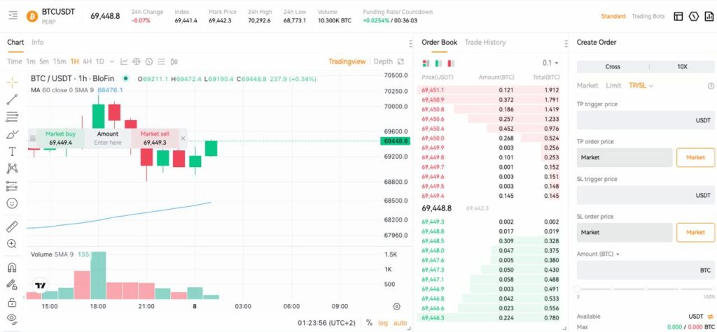 interface trading blofin