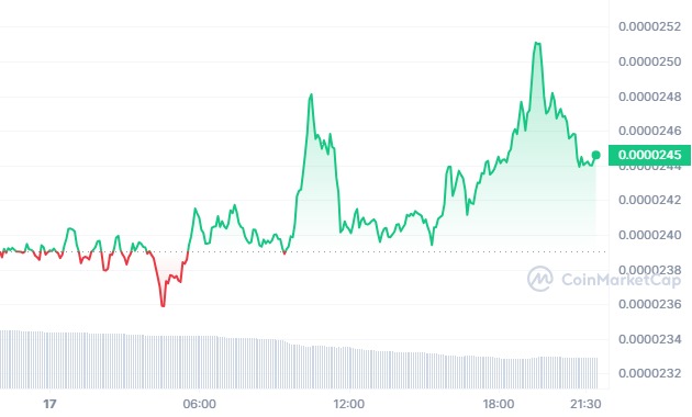 Graphique montrant l’évolution du prix mecoins BONK sur 24h